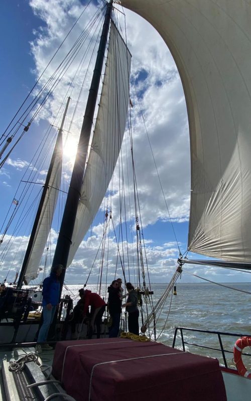 WhatsApp Image 2023-03-02 at 16.58.42(1)