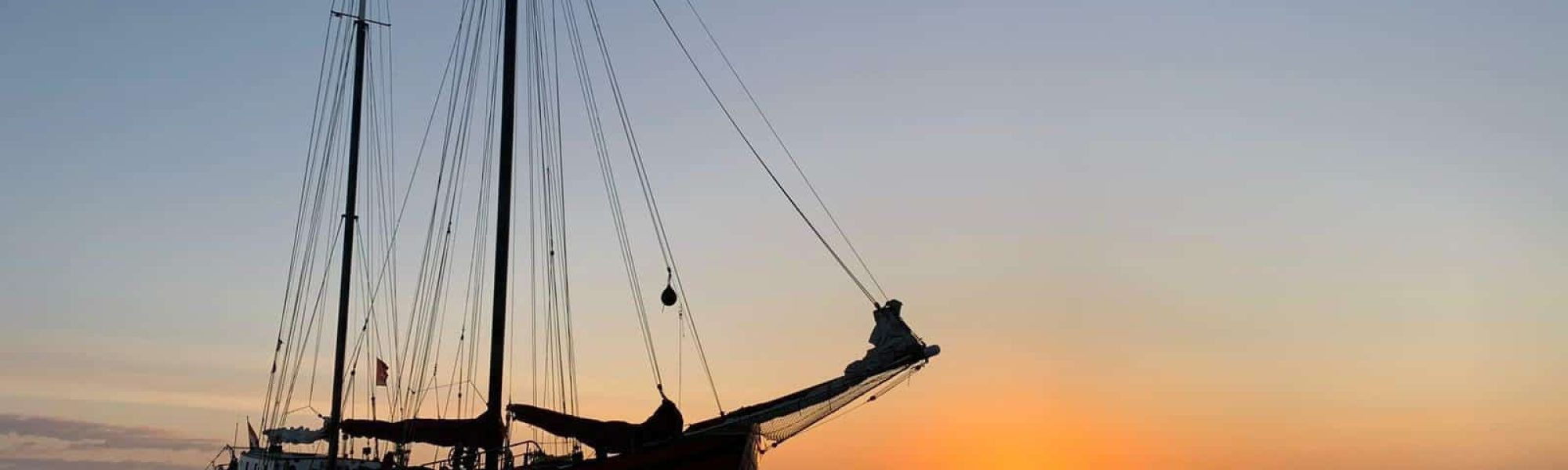 signal-2023-08-20-202511_010